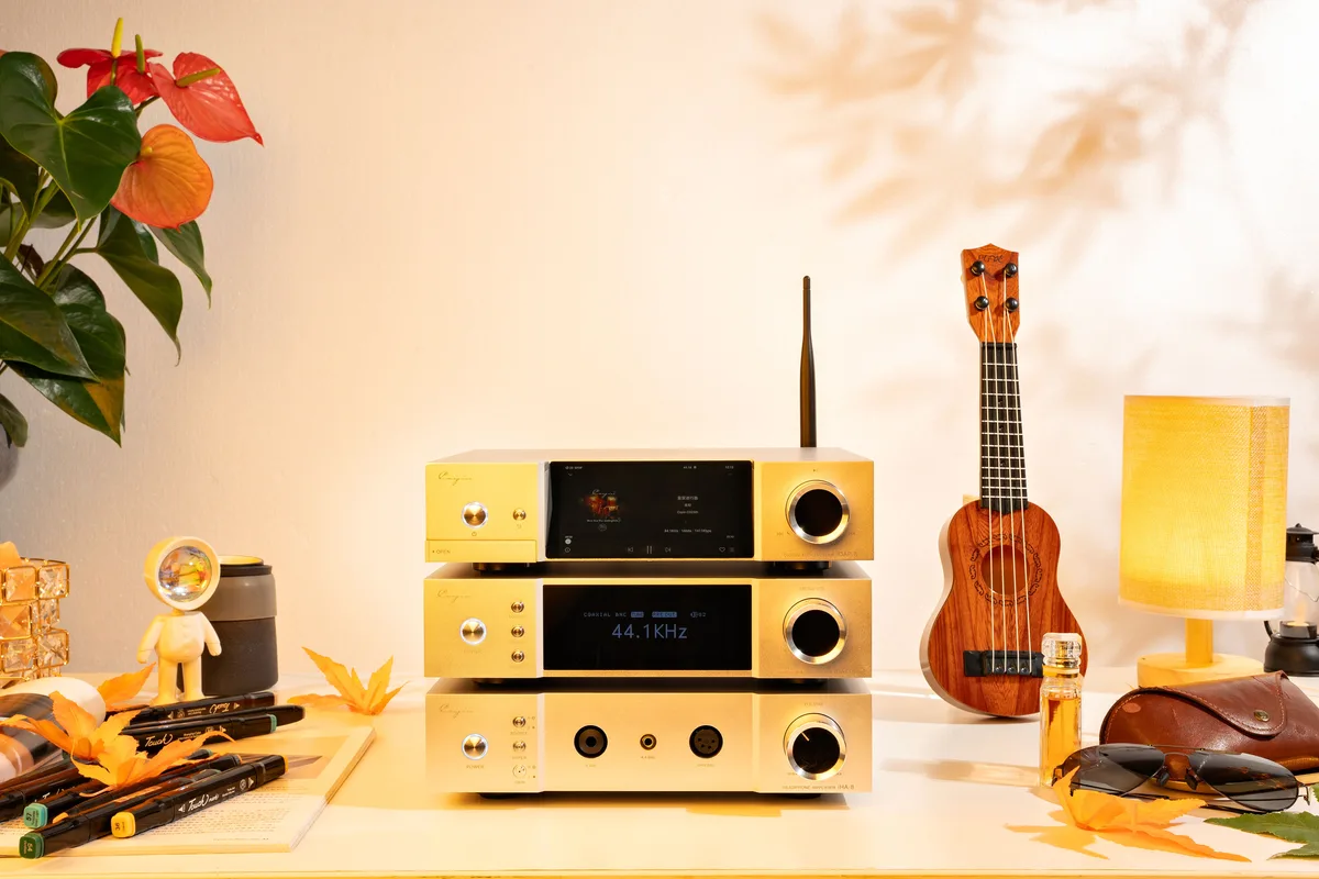 Cayin IDAP-8 Lecteurs réseau audio – Image 9